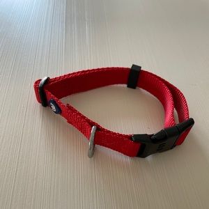 Dog Collar *BRAND NEW*